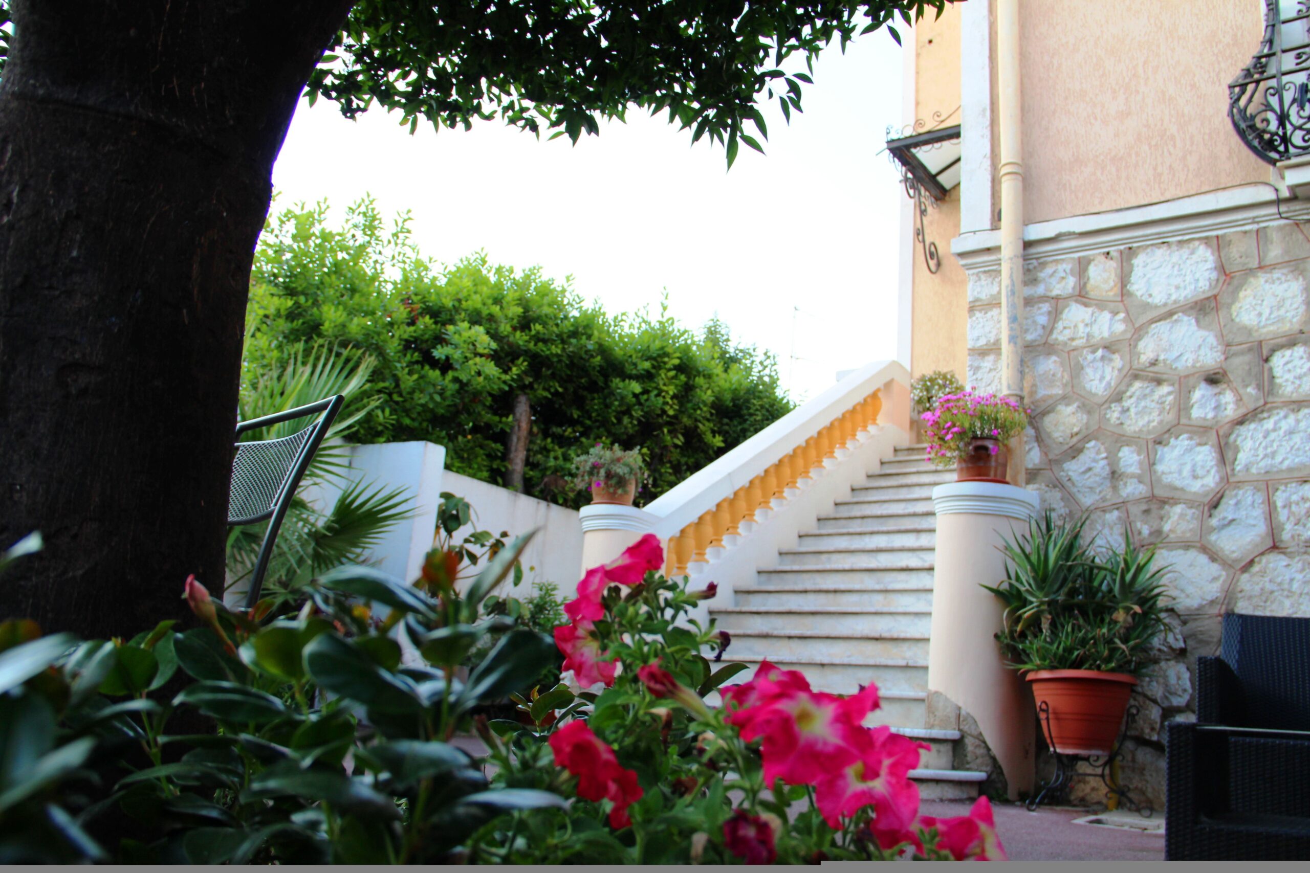 L'escalier vers le jardin